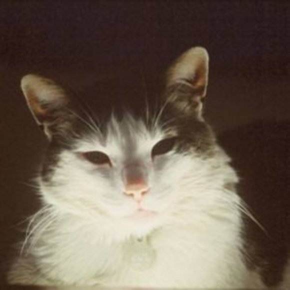 Hi there! - Picture 13 of 14